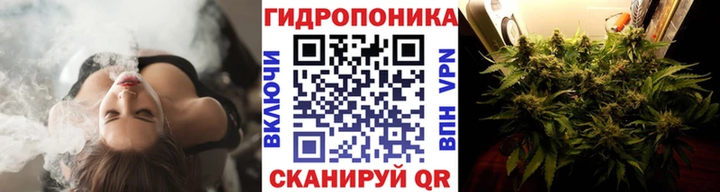 кракен зеркало  Тайга  Шишки марихуана конопля 